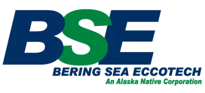  BSE logo